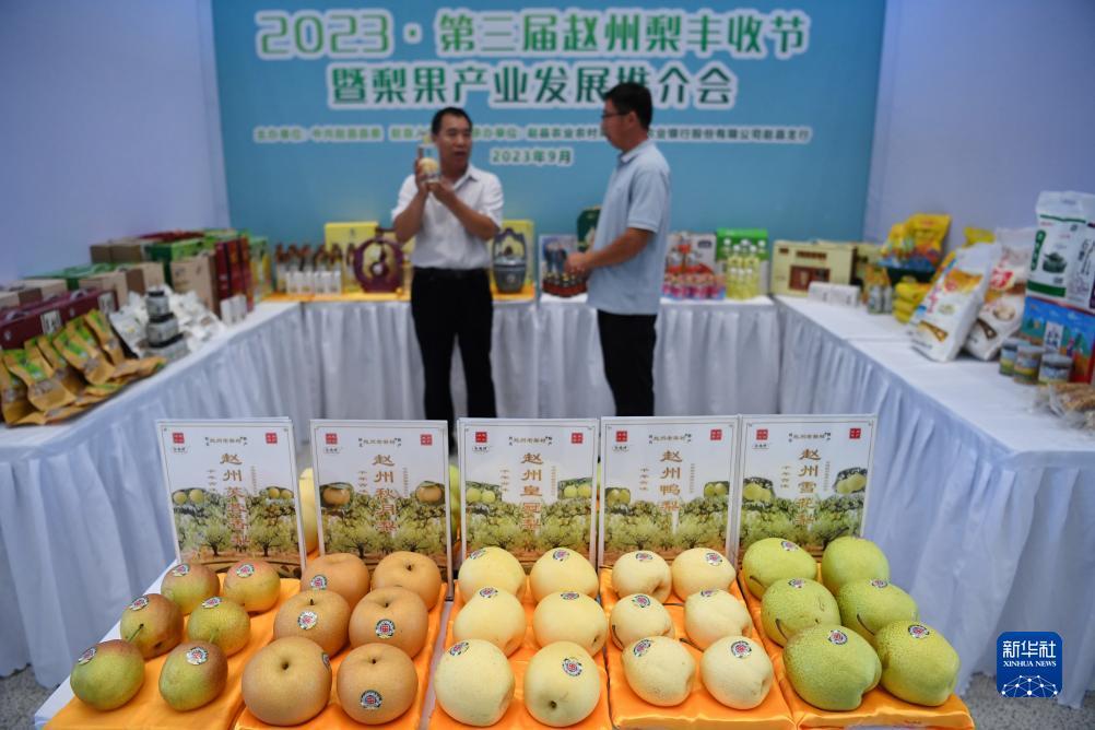 澳门第十三娛乐